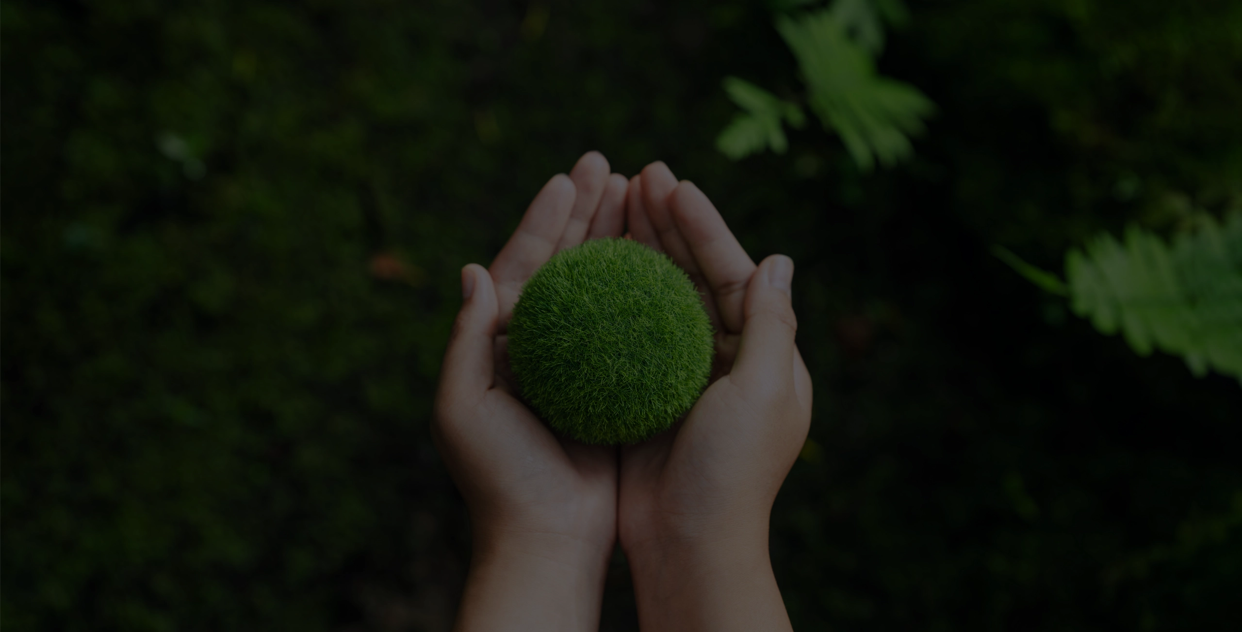 Sostenibilidad desktop