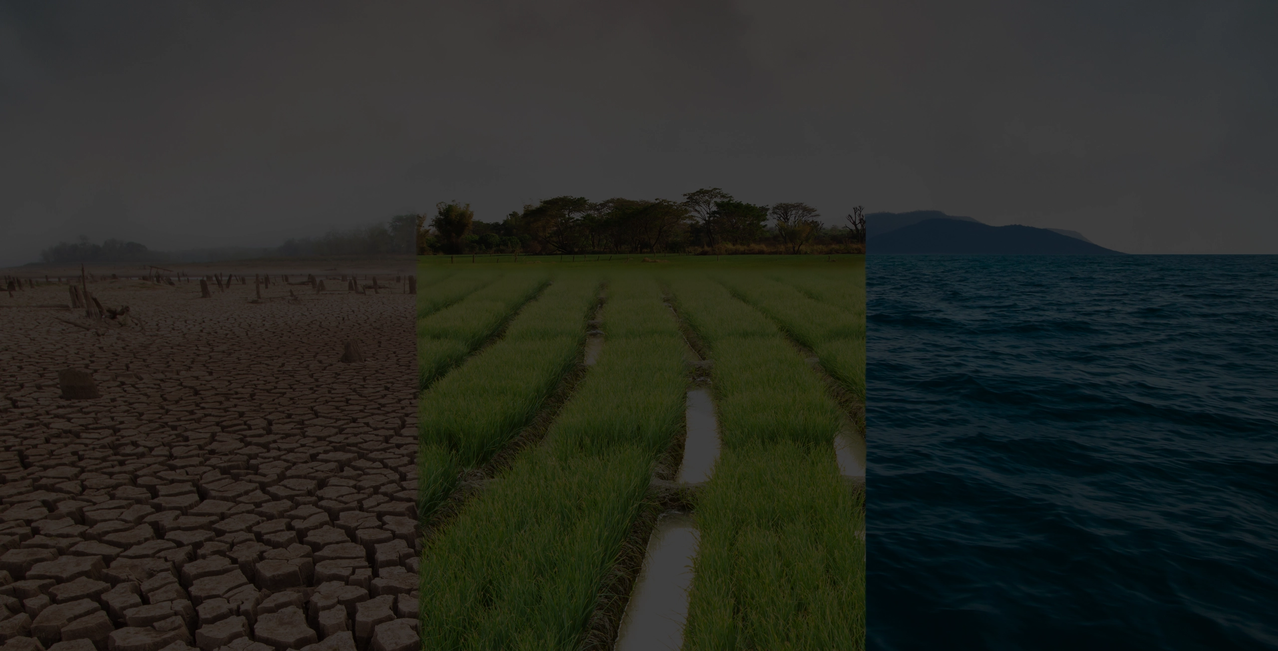 Sostenibilidad desktop